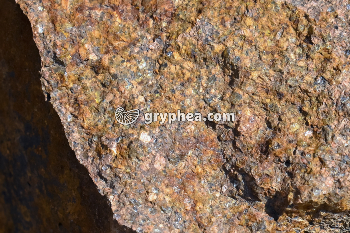 Rhyolite de l 'Esterel - détail de la rhyolite - gryphea.com